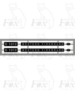 D1012 WESTERN FIREBRAND