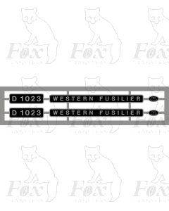 D1023 WESTERN FUSILIER