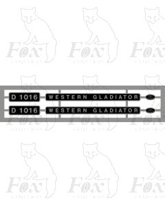D1016 WESTERN GLADIATOR