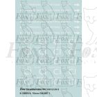 BR Coach Branding small detailing 