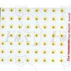 LMS Coach Roundels in off white