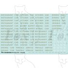 BR British Railways Coach Branding in metallic gold