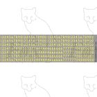 Prototype 9 inch Steam Cabside Numbering